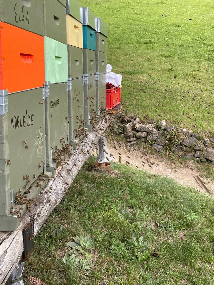 Bees working alt