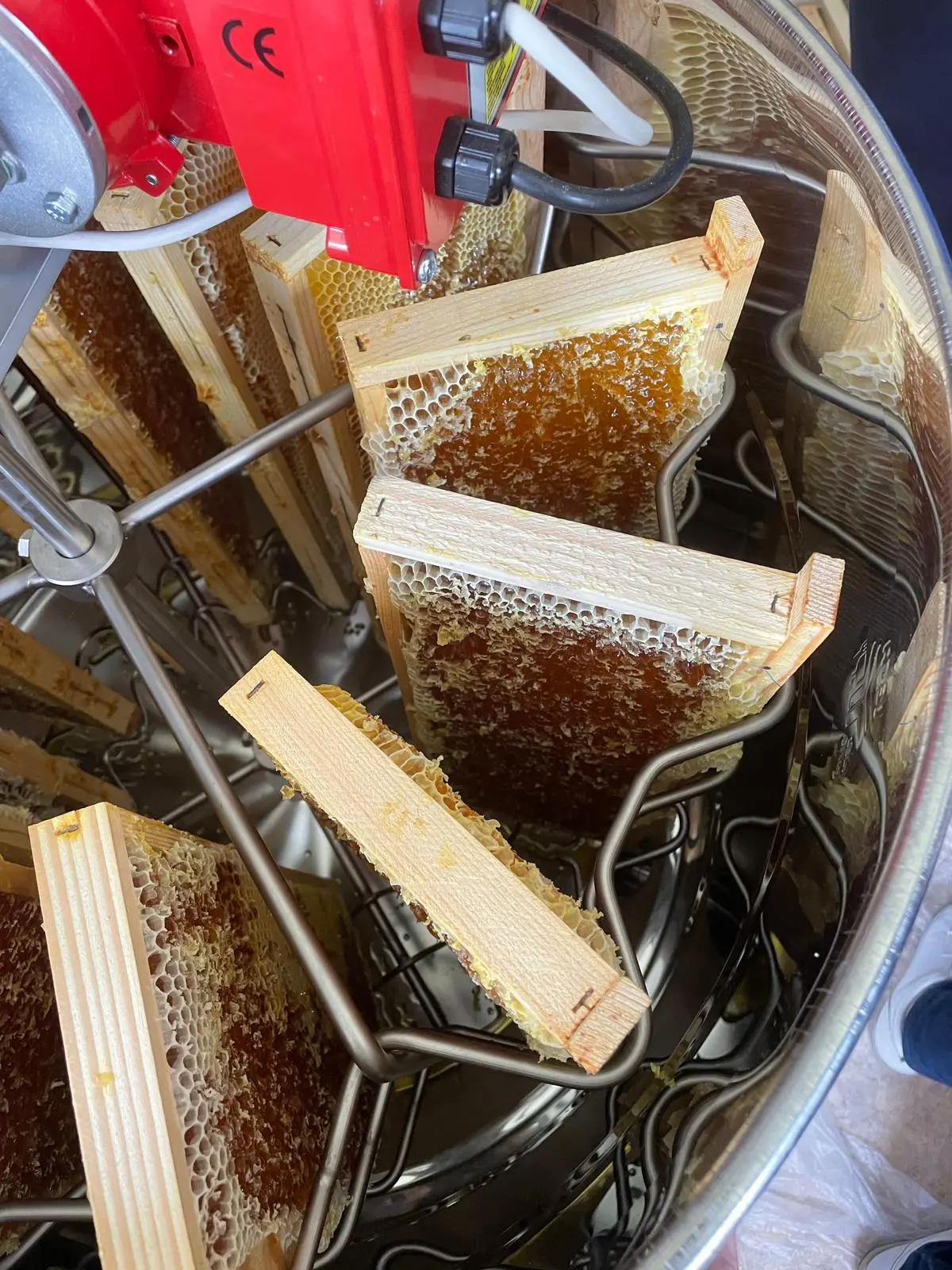 Honey frames in the extractor